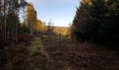 Trail Horseback riding Viroinval - Oignies- Nobertin- La folie-Oignies - Photo 3