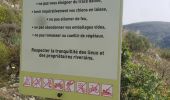 Trail Walking Andon - Les  Lys Pomponne de la montagne de Thiey - Photo 15