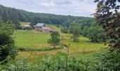 Trail On foot Bouillon - Lannoo GrWandArd 79 Bellevaux de watermolenwandeling (PVDB) - Photo 6