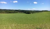 Tour Wandern Havelange - Bois, Rivière et champs - Photo 9