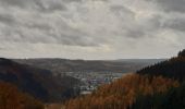 Tour Wandern Malmedy - malmedy . ferme libert .  tro maret . ferme libert . malmedy par les crêtes  - Photo 19