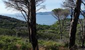 Tocht Stappen Ramatuelle - Cap Taillat  et Cap Lardier - Photo 1