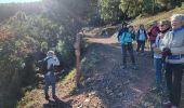 Tour Wandern Mandelieu-la-Napoule - 