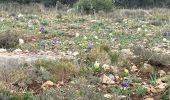 Tour Wandern Fabrègues - La Gardiole - Photo 2