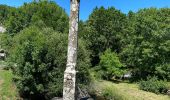 Tour Wandern Saint-Chély-d'Aubrac - St Chelsy, Aubrac, Les Enfrux - Photo 1