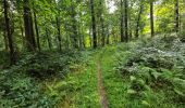 Trail Walking Lobbes - Balade à Mont-Sainte-Geneviève - Photo 10