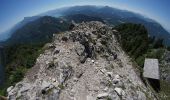 Tour Zu Fuß Thalgau - Forsthaus Wartenfels Wanderweg - Photo 2