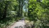 Tour Wandern Vieux-Moulin - en foret de Compiègne_38_07_2021_sur la Route Eugénie - Photo 10