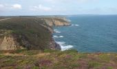 Tour Wandern Plévenon - Cap Fréhel et Fort la Latte 5.7.23 - Photo 10