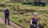 Tocht Stappen Orcines - Puy de Dôme  - Photo 5