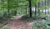 Trail Walking Viroinval - Oignies en Thierache 20,7 km - Photo 13