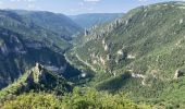 Trail Nordic walking Massegros Causses Gorges - Point sublime et tour du Causse de Sauveterre - Photo 8