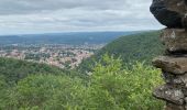 Tocht  Mazamet - Mazamet la passerelle - Photo 2