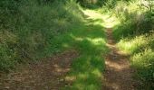 Trail Walking Aigondigné - 2021-07-26 Autour d'Aigonnay - Photo 6