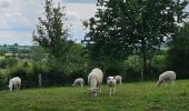 Tour Wandern Aubel - Abbaye du Val-Dieu - Photo 9