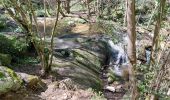 Randonnée Marche Ceyrat - GORGES DE CEYRAT EN BOUCLE PAR BERZET - Photo 3