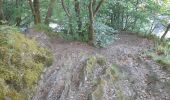 Tocht Stappen Vresse-sur-Semois - Marche ADEPS 10KM900 à Laforêt. - Photo 14