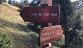 Trail Walking Valdeblore - La Colmiane - Le Caire Gros - Photo 7