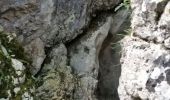 Trail Walking Plan-d'Aups-Sainte-Baume - Sainte baume grotte des oeufs et notre dame des adieux - Photo 5