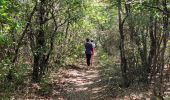 Tocht Stappen Méjannes-le-Clap - grotte Aven de Peyre haute - Photo 7