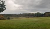 Trail Walking Theux - gervova . chemin du ninglinspo . chifgotte . charmille . gervova - Photo 2