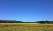 Tour Zu Fuß Harrislee - Rundwanderweg 6: Wassersleben/Klueser Wald - Photo 7