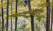 Tour Wandern Péreyres - Raypic après midi - Photo 1