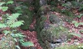 Percorso Marcia Orlu - Orlu Mèrens les Vals Haut GR 107 chemin des Bonshommes - Photo 3