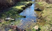 Tocht Stappen Goudargues - Autour de Goudargues / Goussargues  - Photo 8