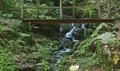 Trail Walking Schramberg - Schramberg - Châteaux de Falkenstein et de Hohenschramberg - Photo 18