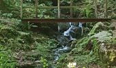 Tocht Stappen Schramberg - Schramberg - Châteaux de Falkenstein et de Hohenschramberg - Photo 18