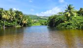 Excursión Senderismo Deshaies - Guadeloupe - Littoral Deshaies - Photo 8