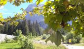 Tocht Te voet Ramsau bei Berchtesgaden - Wikiloc Ramsau Wimbachklamm-Wimbachgrieshütte - Photo 20