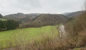 Tocht Stappen La Roche-en-Ardenne - Chèque - Photo 15