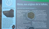 Trail  Moras-en-Valloire - Moras en valloire l’ecolline  - Photo 2
