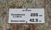 Randonnée Marche Stavelot - 20220711 - Francorchamps 7.1 Km - Photo 9