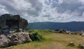 Excursión Senderismo Hinterzarten - Alsbach - Photo 3