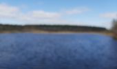 Trail Walking Zonhoven - limbourg  - Photo 12