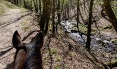 Trail Horseback riding Florenville - Les Epioux  - Photo 12