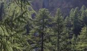 Tour Wandern Ceillac - Lac Miroir avec Isao - Photo 1