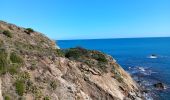 Randonnée Marche Port-Vendres - paullile - Cap bear via la mer retour via les vignes  - Photo 16