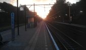 Tour Zu Fuß Renkum - Dwars door Gelderland (10) - Photo 7