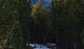 Tour Wandern Les Angles - Lac de Balcère - Photo 6