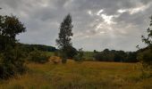 Tocht Stappen Chaudfontaine - bois les dames autour de chaudfontaine - Photo 8