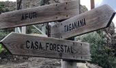 Tour Wandern Santa Cruz de Tenerife - 20230125 Tachero-Taganana-Casa Forestal  - Photo 8
