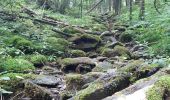 Tour Wandern Weismes - robertville . barrage . nez de napoléon.  reinhardstein . barrage . pont . robertville - Photo 17