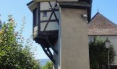 Tocht Te voet Clos du Doubs - Passerelle de La Charbonniere - Soubey - Photo 1