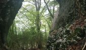 Trail Walking Saint-Julien-en-Vercors - le pont du diable - Photo 3