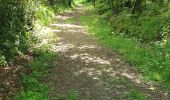 Trail Walking Plougras - Autour de Plougras, abord de Guerlesquin - Photo 15