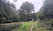 Trail Walking Aywaille - dieupart . embleve . thier bosset . kin . henoumont . vieux jardin . dieupart  - Photo 11